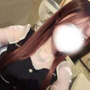 ヒメ日記 2025/04/12 19:34 投稿 天川　かりん プルプル倶楽部 札幌すすきの店