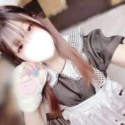 ヒメ日記 2024/12/27 06:03 投稿 あおば 桃李（とうり）