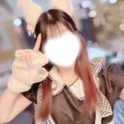 ヒメ日記 2025/02/05 00:14 投稿 あおば 桃李（とうり）