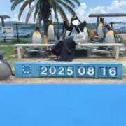 ヒメ日記 2025/08/20 10:00 投稿 あおば 桃李（とうり）