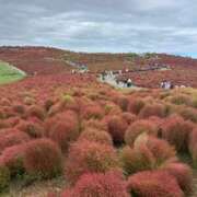 ヒメ日記 2025/10/17 17:24 投稿 あおば 桃李（とうり）