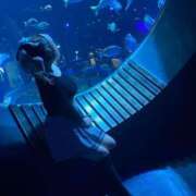 ヒメ日記 2025/02/14 22:02 投稿 みく 上野デリヘル倶楽部