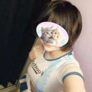 ヒメ日記 2025/03/31 21:16 投稿 いと ハンドキャンパス新宿