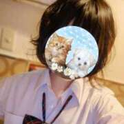 ヒメ日記 2025/04/05 19:39 投稿 いと ハンドキャンパス新宿