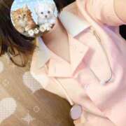 ヒメ日記 2025/04/17 00:32 投稿 いと ハンドキャンパス新宿