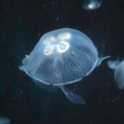 ヒメ日記 2025/06/25 18:29 投稿 いと ハンドキャンパス新宿