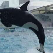 ヒメ日記 2025/07/23 01:19 投稿 いと ハンドキャンパス新宿