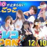 ヒメ日記 2024/12/12 16:35 投稿 ことり 電車ごっこ