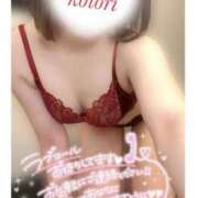 ヒメ日記 2024/12/13 10:20 投稿 ことり 電車ごっこ