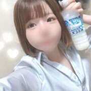 ヒメ日記 2024/12/13 16:11 投稿 ことり 電車ごっこ