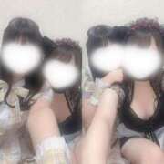 ヒメ日記 2024/12/15 15:20 投稿 ことり 電車ごっこ