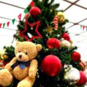 ヒメ日記 2024/12/17 01:27 投稿 ことり 電車ごっこ