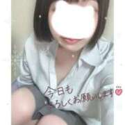 ヒメ日記 2024/12/28 17:18 投稿 ことり 電車ごっこ