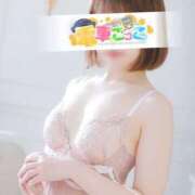 ヒメ日記 2025/01/02 02:20 投稿 ことり 電車ごっこ