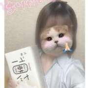 ヒメ日記 2025/02/09 00:40 投稿 ことり 電車ごっこ