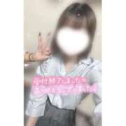 ヒメ日記 2025/02/12 00:50 投稿 ことり 電車ごっこ