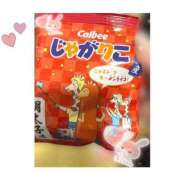 ヒメ日記 2025/02/12 02:50 投稿 ことり 電車ごっこ