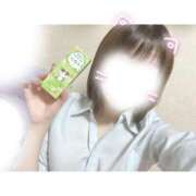 ヒメ日記 2025/03/05 23:50 投稿 ことり 電車ごっこ