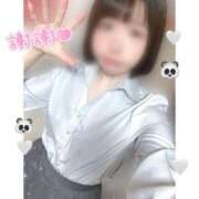 ヒメ日記 2025/03/24 01:50 投稿 ことり 電車ごっこ