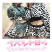 ヒメ日記 2025/03/26 01:20 投稿 ことり 電車ごっこ