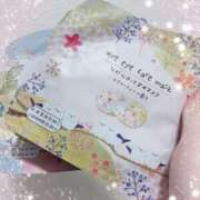 ヒメ日記 2025/03/31 01:20 投稿 ことり 電車ごっこ