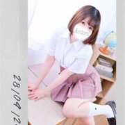 ヒメ日記 2025/05/27 12:40 投稿 ことり 電車ごっこ