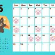 ヒメ日記 2025/05/30 13:20 投稿 ことり 電車ごっこ