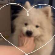 ヒメ日記 2025/07/07 15:00 投稿 ことり 電車ごっこ