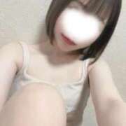 ヒメ日記 2025/07/23 15:39 投稿 ことり 電車ごっこ