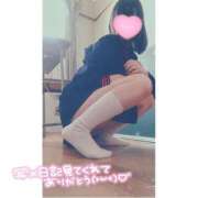 ヒメ日記 2025/08/03 10:50 投稿 ことり 電車ごっこ