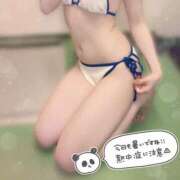 ヒメ日記 2025/08/17 11:20 投稿 ことり 電車ごっこ