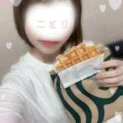 ヒメ日記 2025/08/27 17:53 投稿 ことり 電車ごっこ