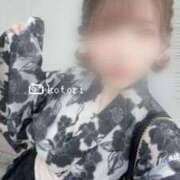 ヒメ日記 2025/09/21 00:40 投稿 ことり 電車ごっこ