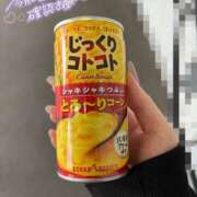 ヒメ日記 2025/11/03 14:35 投稿 ことり 電車ごっこ
