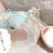 ヒメ日記 2025/11/09 11:27 投稿 ことり 電車ごっこ