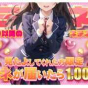 ヒメ日記 2025/11/12 08:34 投稿 ことり 電車ごっこ
