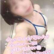 ヒメ日記 2025/11/14 13:50 投稿 ことり 電車ごっこ