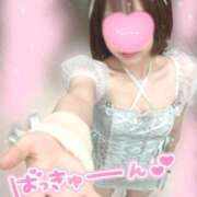 ヒメ日記 2025/11/22 12:30 投稿 ことり 電車ごっこ