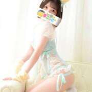 ヒメ日記 2025/11/24 09:34 投稿 ことり 電車ごっこ