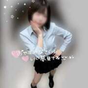 ヒメ日記 2025/11/27 02:50 投稿 ことり 電車ごっこ