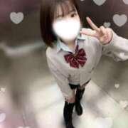 ヒメ日記 2025/11/28 19:10 投稿 ことり 電車ごっこ