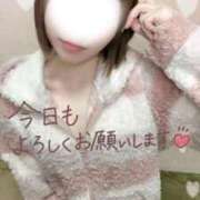 ヒメ日記 2025/12/04 09:05 投稿 ことり 電車ごっこ