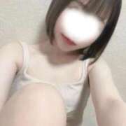 ヒメ日記 2025/12/27 17:00 投稿 ことり 電車ごっこ