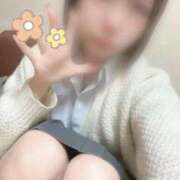 ことり 納め🌸 電車ごっこ