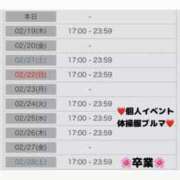 ヒメ日記 2026/02/18 01:20 投稿 ことり 電車ごっこ