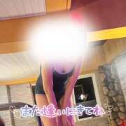 ヒメ日記 2025/03/15 12:28 投稿 まのん 水戸人妻花壇