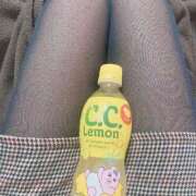 ヒメ日記 2025/01/29 12:49 投稿 しずく ぷるるん小町日本橋店