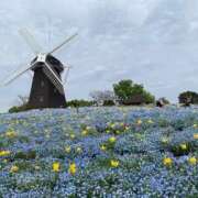 ヒメ日記 2025/04/26 11:16 投稿 しずく ぷるるん小町日本橋店