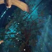 ヒメ日記 2025/10/10 15:08 投稿 かえで 東京アロマスタイル