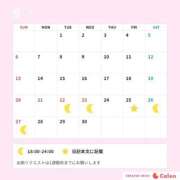 ヒメ日記 2026/09/21 12:48 投稿 かえで 東京アロマスタイル